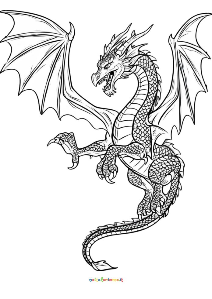 Bellissimo drago da colorare