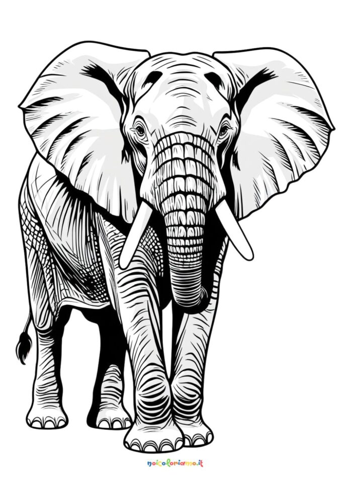 Elefante africano da colorare