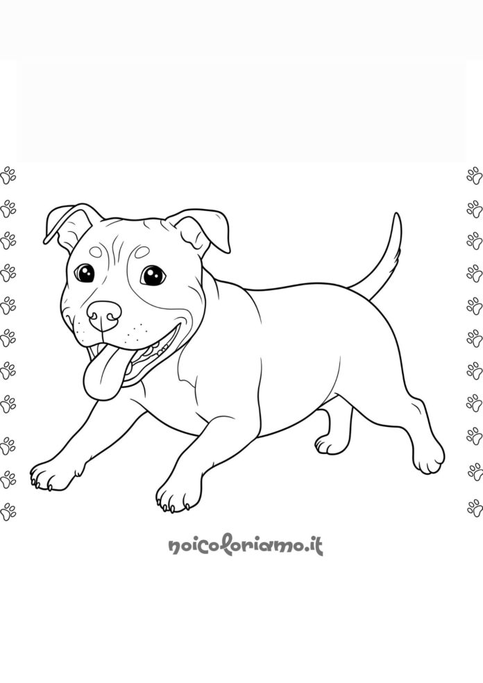 Il tuo amico pitbull