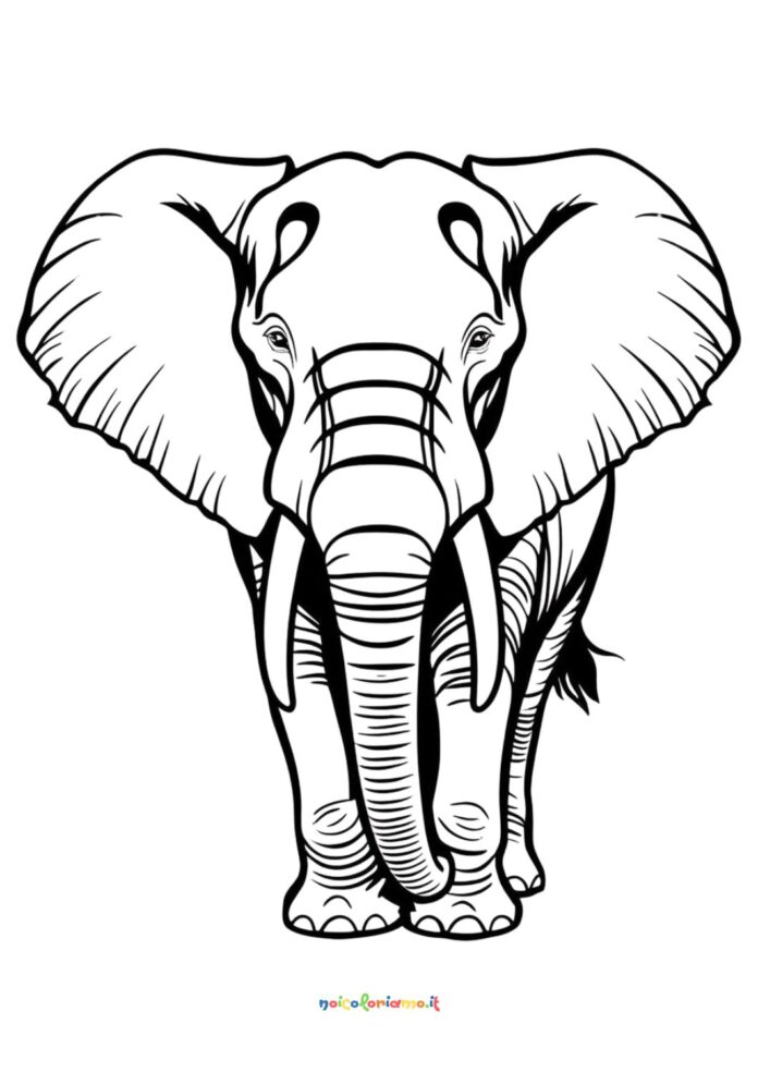 Piccolo Elefante da colorare