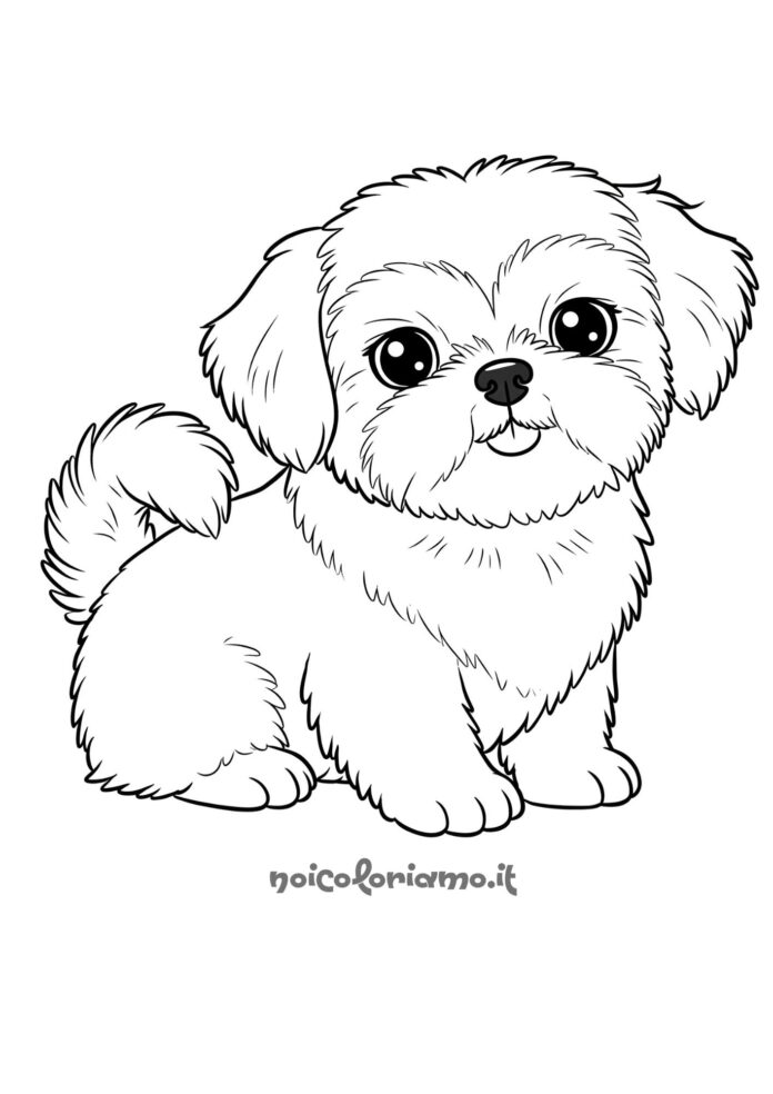 Cagnolino con dolci occhi grandi