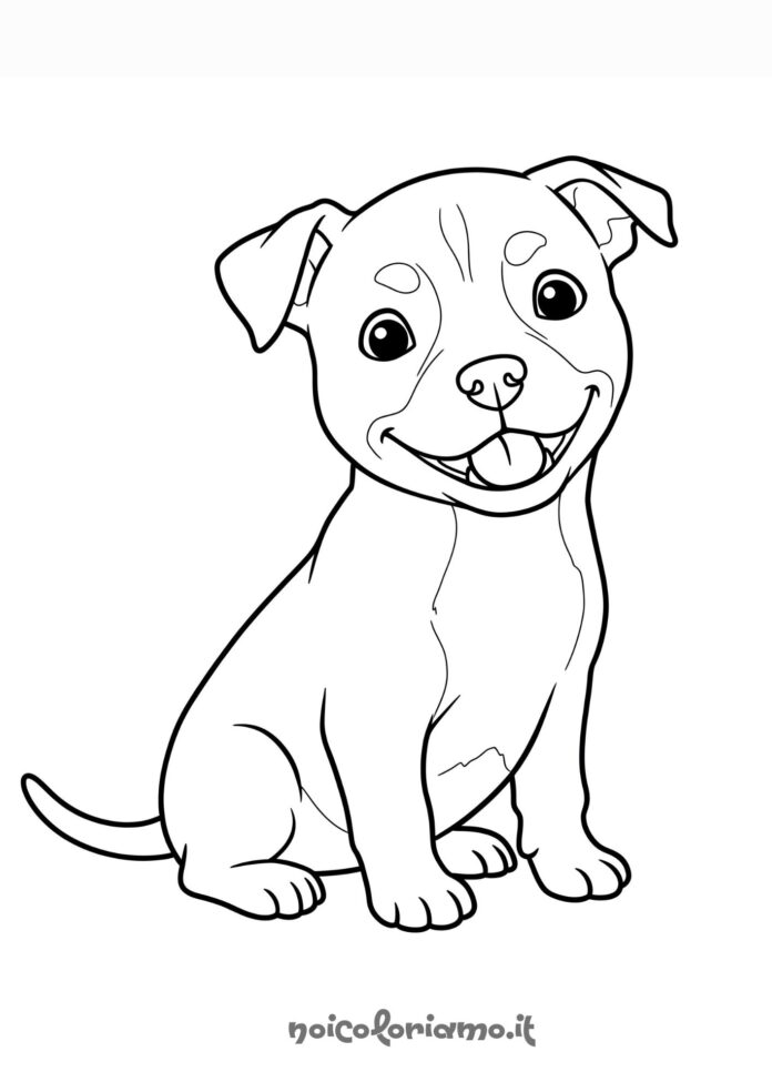 Colora il tuo pitbull