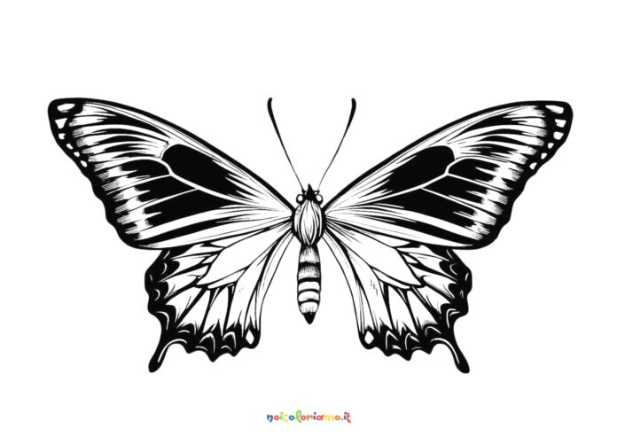 Farfalla da colorare