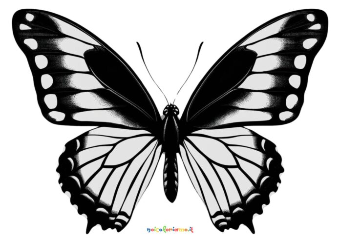 Farfalla da colorare bianco nero