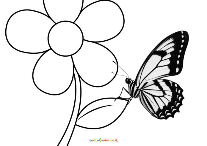 Farfalla su fiore da colorare