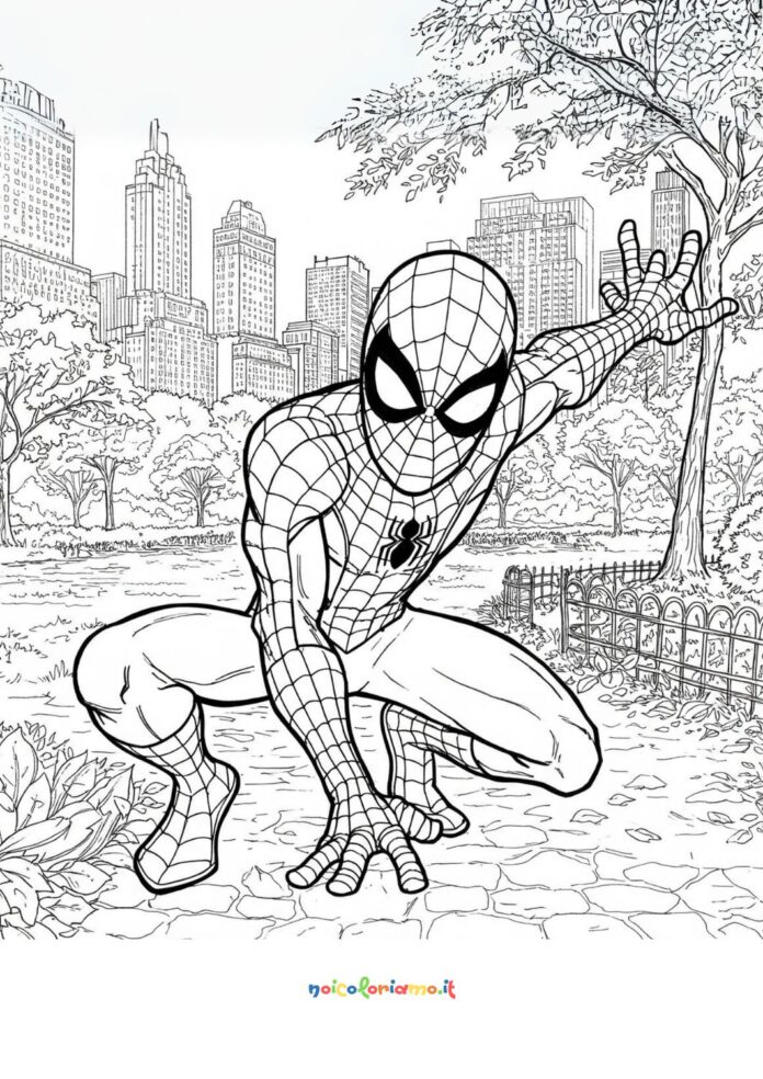Spiderman a Central Park